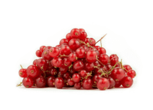 Red Currant