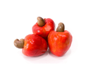 Cashew Apple